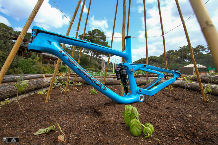 mtb-mag